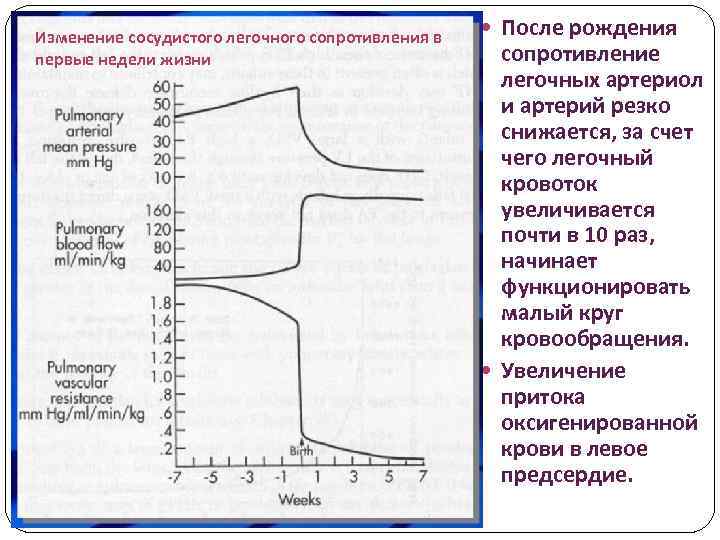 Изменение сосудистого легочного сопротивления в первые недели жизни После рождения сопротивление легочных артериол и