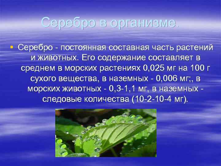 Серебро в организме. § Серебро - постоянная составная часть растений и животных. Его содержание