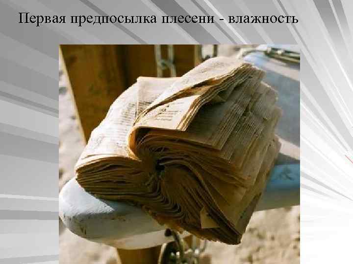 Первая предпосылка плесени - влажность 