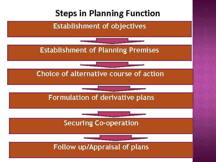 Steps in Planning Function Establishment of objectives Establishment of Planning Premises Choice of alternative