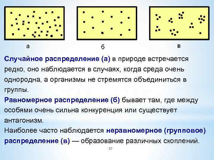 Структура популяции