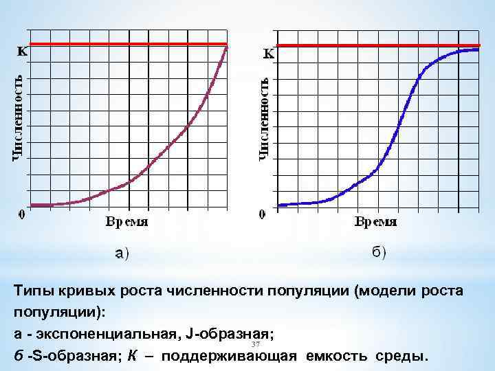 Типы кривых