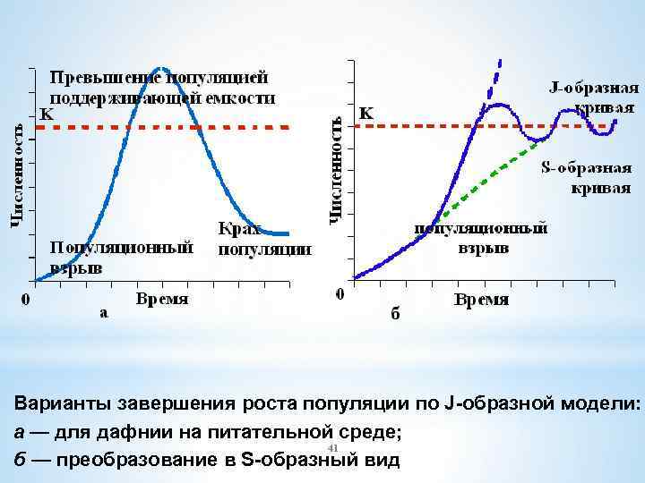 Варианты завершения роста популяции по J-образной модели: а — для дафнии на питательной среде;
