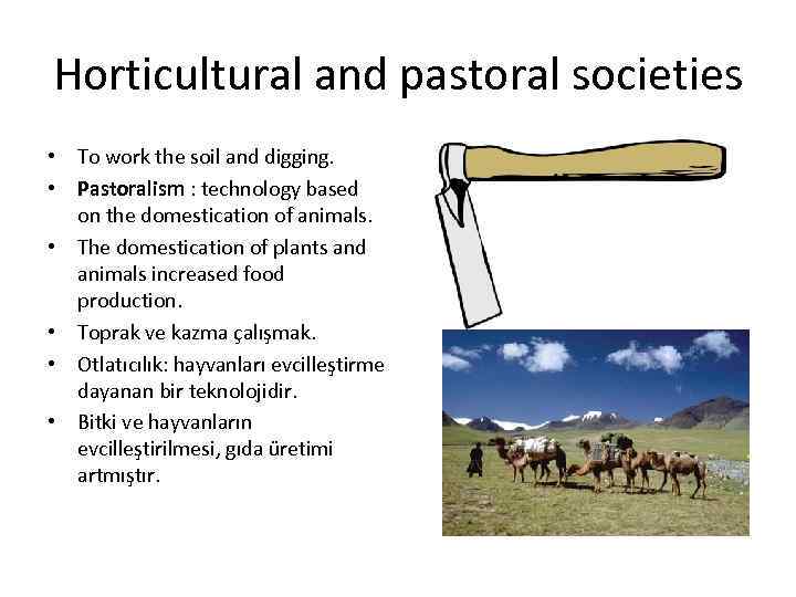 Horticultural and pastoral societies • To work the soil and digging. • Pastoralism :