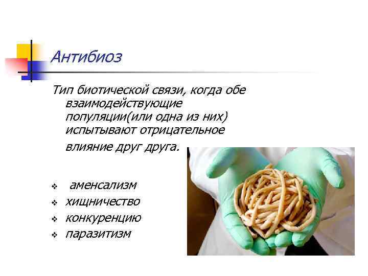 Антибиоз Тип биотической связи, когда обе взаимодействующие популяции(или одна из них) испытывают отрицательное влияние