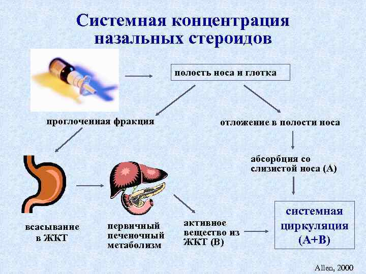 Системная концентрация назальных стероидов полость носа и глотка проглоченная фракция отложение в полости носа