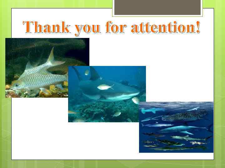 Thank you for attention! 