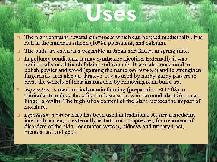 Uses The plant contains several substances which can be used medicinally. It is rich