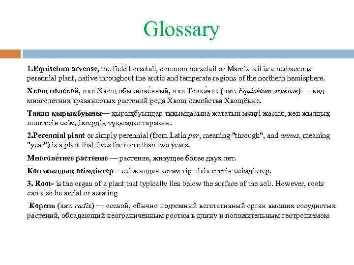 Glossary 1. Equisetum arvense, the field horsetail, common horsetail or Mare’s tail is a