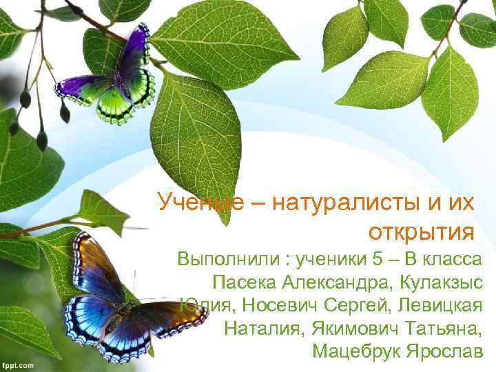 Ученые – натуралисты и их открытия Выполнили : ученики 5 – В класса Пасека