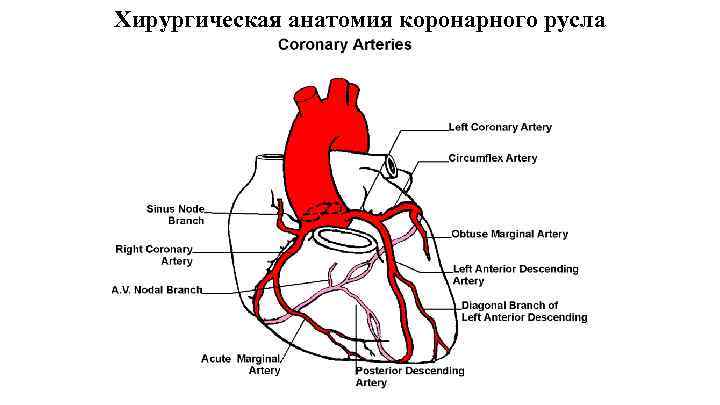 План сердца читать