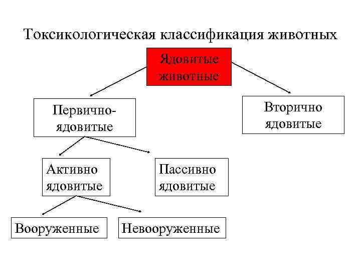 Вторично ядовитые животные. Первичные и вторичные ядовитые животные. Токсикологическая классификация ядовитых животных. Классификация ядовитых животных первично ядовитые. Вторично ядовитые животные примеры.