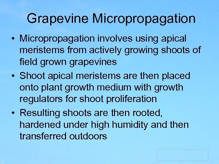 Grapevine Micropropagation • Micropropagation involves using apical meristems from actively growing shoots of field