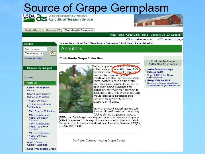 Source of Grape Germplasm 