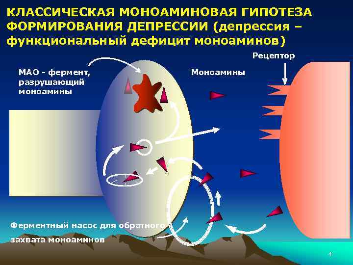 КЛАССИЧЕСКАЯ МОНОАМИНОВАЯ ГИПОТЕЗА ФОРМИРОВАНИЯ ДЕПРЕССИИ (депрессия – функциональный дефицит моноаминов) Рецептор МАО - фермент,