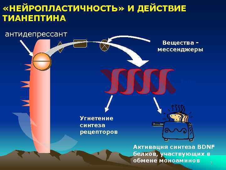  «НЕЙРОПЛАСТИЧНОСТЬ» И ДЕЙСТВИЕ ТИАНЕПТИНА антидепрессант Вещества мессенджеры РНК Угнетение синтеза рецепторов Активация синтеза