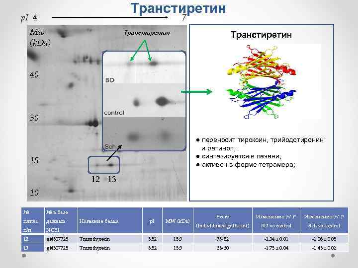 Транстиретин 7 p. I 4 Mw (k. Da) Транстиретин 40 30 ● переносит тироксин,