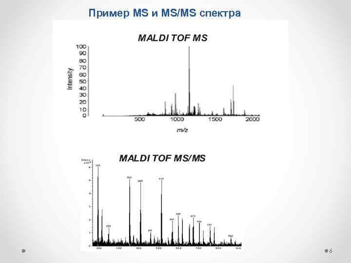 Пример MS и MS/MS спектра 6 