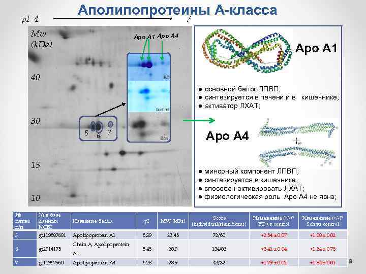 Аполипопротеины А-класса 7 p. I 4 Mw (k. Da) Apo A 1 Apo A