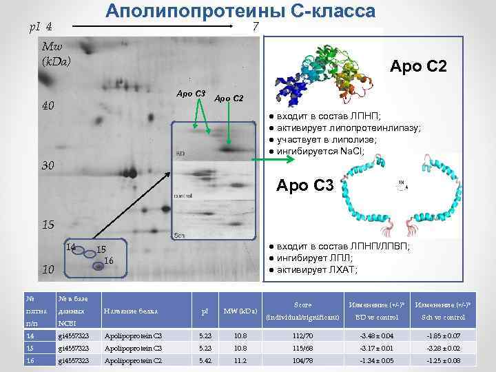 Аполипопротеины С-класса p. I 4 7 Mw (k. Da) Apo С 2 Apo С