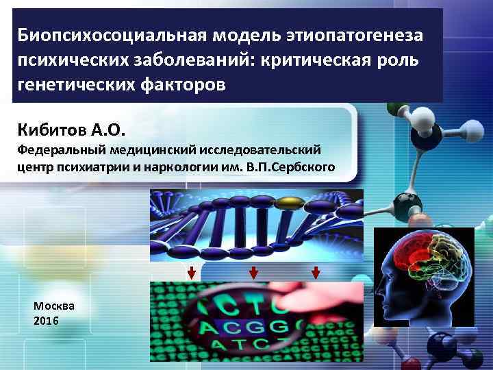 Биопсихосоциальная модель этиопатогенеза психических заболеваний: критическая роль генетических факторов Кибитов А. О. Федеральный медицинский