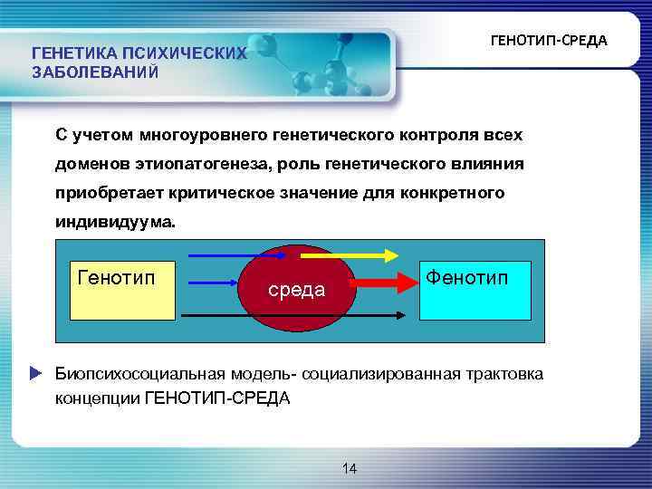 Генетическая среда