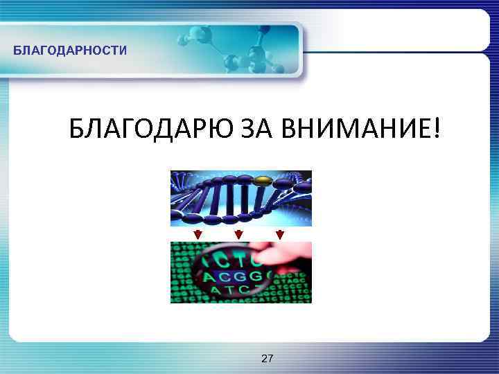 БЛАГОДАРНОСТИ БЛАГОДАРЮ ЗА ВНИМАНИЕ! 27 