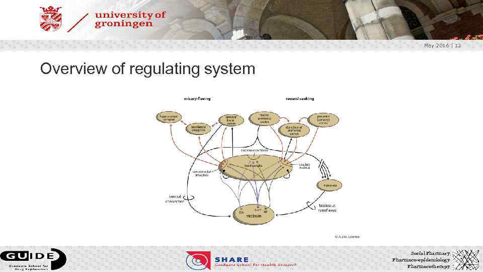 May 2016 | 12 Overview of regulating system Social Pharmacy Pharmaco-epidemiology Pharmacotherapy 