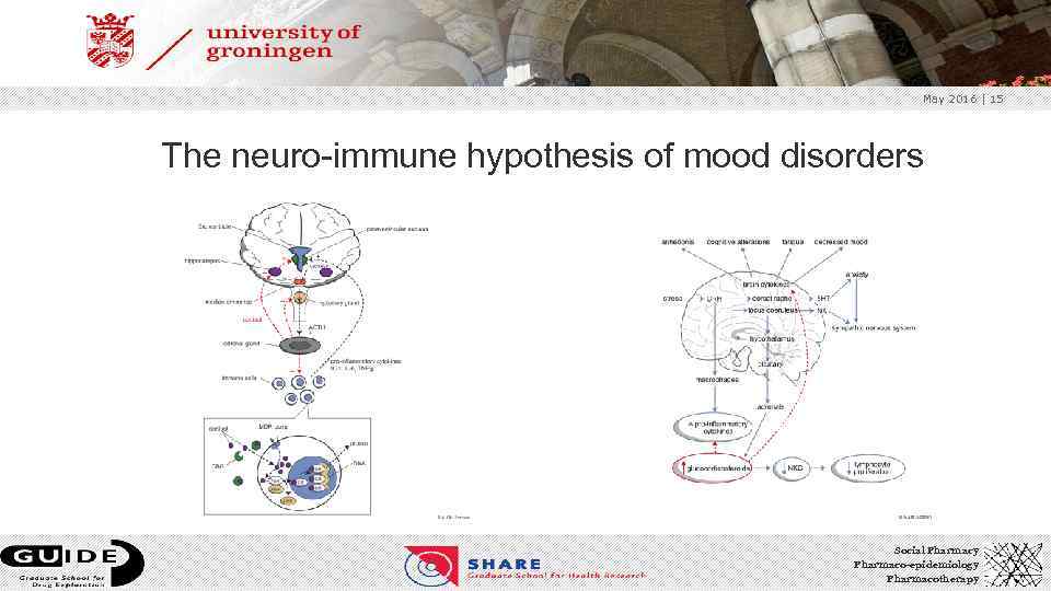 May 2016 | 15 The neuro-immune hypothesis of mood disorders Social Pharmacy Pharmaco-epidemiology Pharmacotherapy