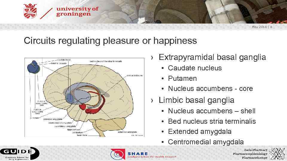 May 2016 | 8 Circuits regulating pleasure or happiness › Extrapyramidal basal ganglia •