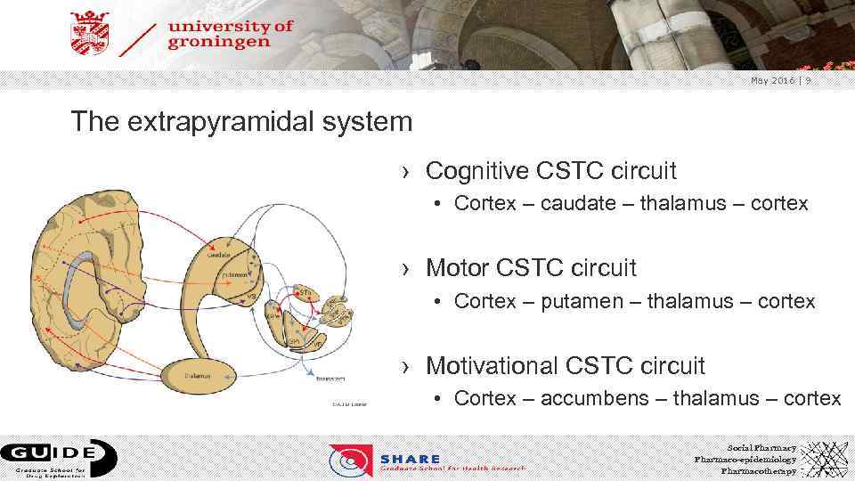 May 2016 | 9 The extrapyramidal system › Cognitive CSTC circuit • Cortex –