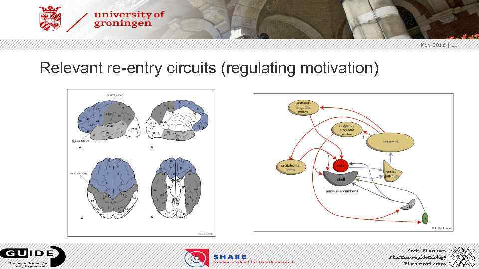 May 2016 | 11 Relevant re-entry circuits (regulating motivation) Social Pharmacy Pharmaco-epidemiology Pharmacotherapy 