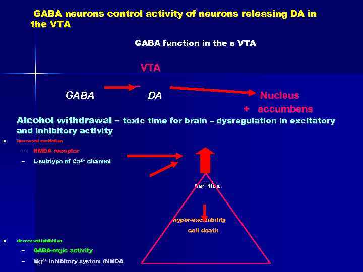 GABA neurons control activity of neurons releasing DA in the VTA GABA function in