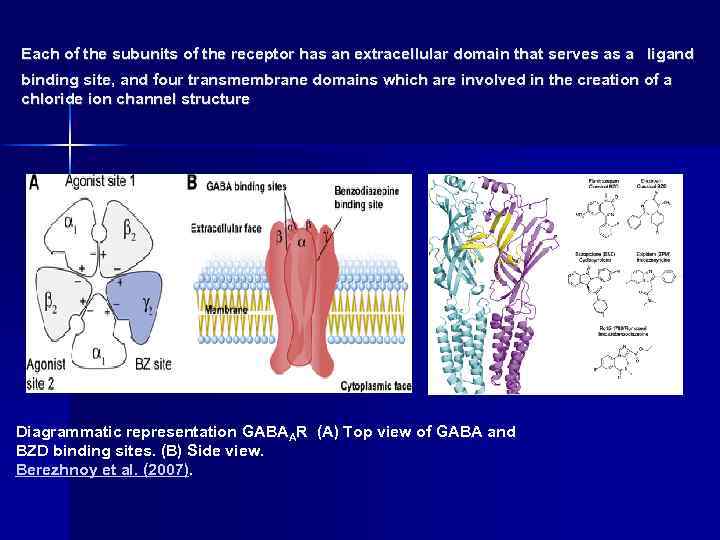 Each of the subunits of the receptor has an extracellular domain that serves as