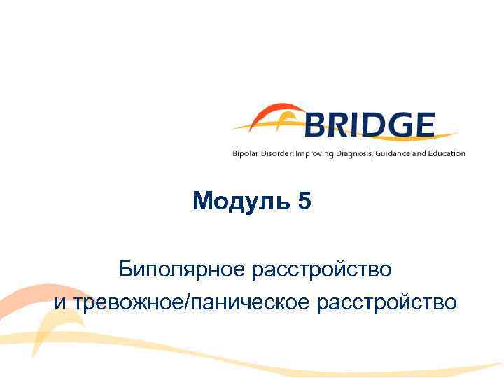 Модуль 5 Биполярное расстройство и тревожное/паническое расстройство 