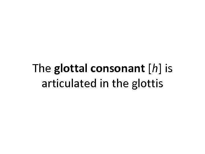 The glottal consonant [h] is articulated in the glottis 