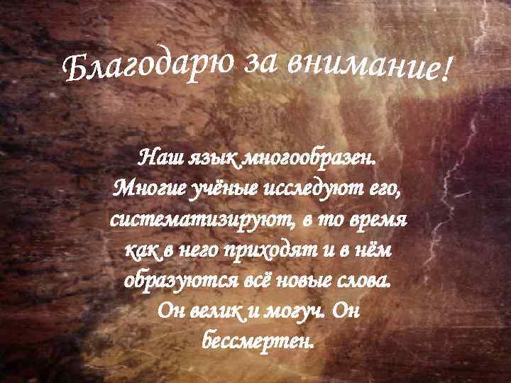 Наш язык многообразен. Многие учёные исследуют его, систематизируют, в то время как в него