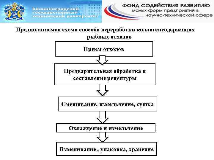 Предполагаемая схема способа переработки коллагенсодержащих рыбных отходов Прием отходов Предварительная обработка и составление рецептуры