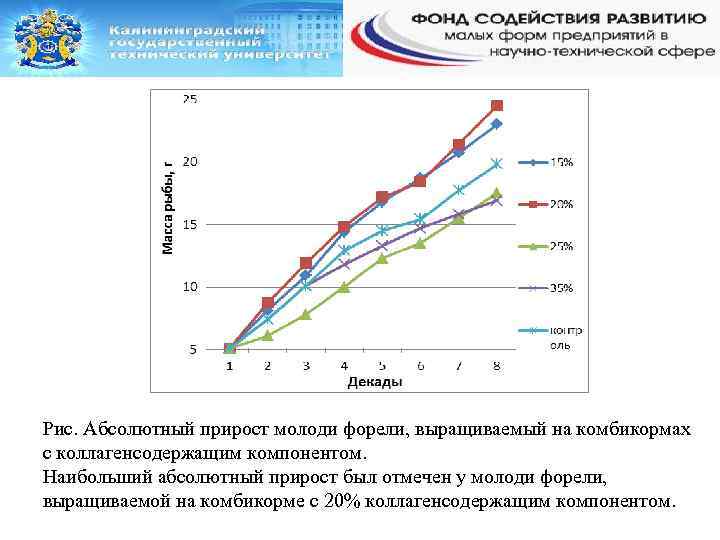 Рис. Абсолютный прирост молоди форели, выращиваемый на комбикормах с коллагенсодержащим компонентом. Наибольший абсолютный прирост