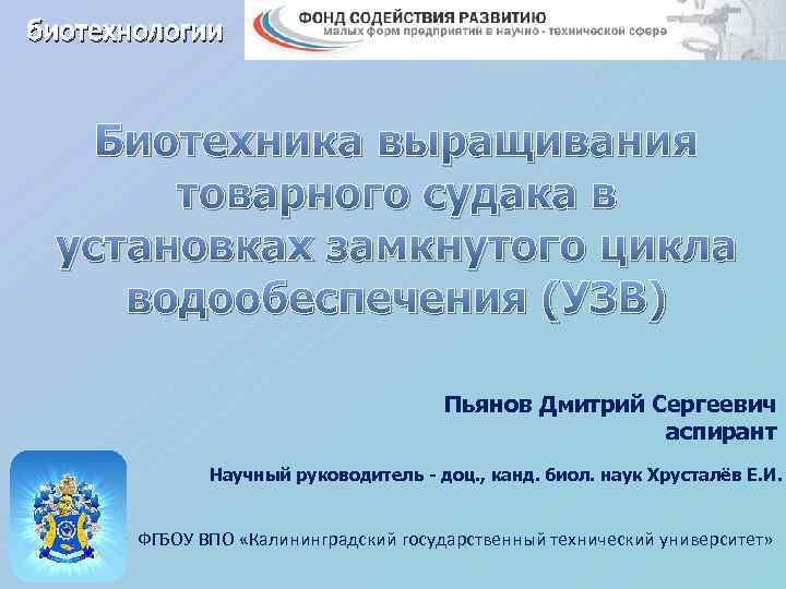 биотехнологии Биотехника выращивания товарного судака в установках замкнутого цикла водообеспечения (УЗВ) Пьянов Дмитрий Сергеевич