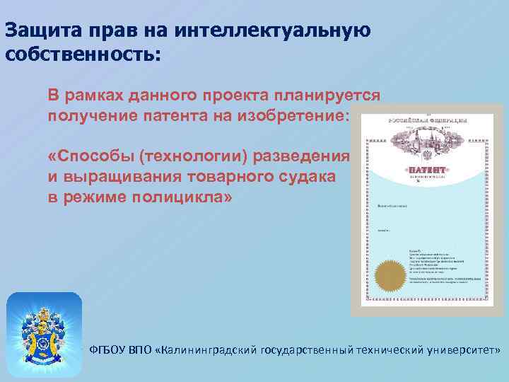 Защита прав на интеллектуальную собственность: В рамках данного проекта планируется получение патента на изобретение: