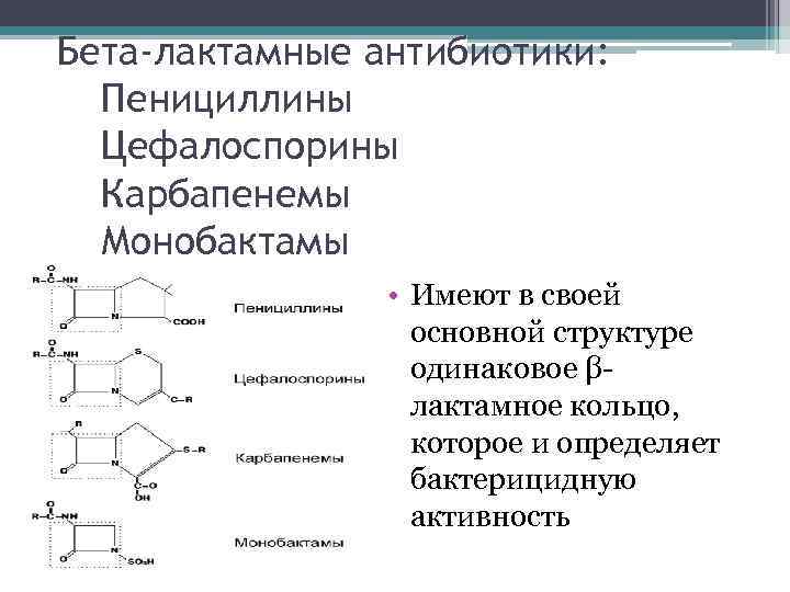 Бета лактамные антибиотики