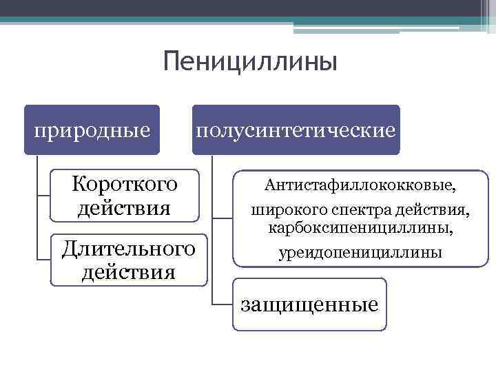 Пенициллины природные Короткого действия Длительного действия полусинтетические Антистафиллококковые, широкого спектра действия, карбоксипенициллины, уреидопенициллины защищенные