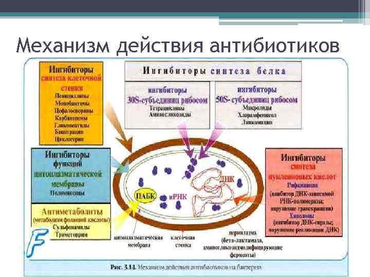 Действие антибиотиков. Единицы действия антибиотиков. Стрептомицин механизм действия. Действие антибиотиков на вирусы. Ед действия у антибиотиков.