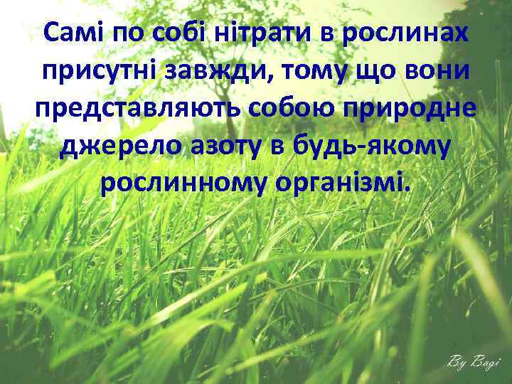 Самі по собі нітрати в рослинах присутні завжди, тому що вони представляють собою природне