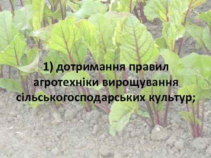 1) дотримання правил агротехніки вирощування сільськогосподарських культур; 