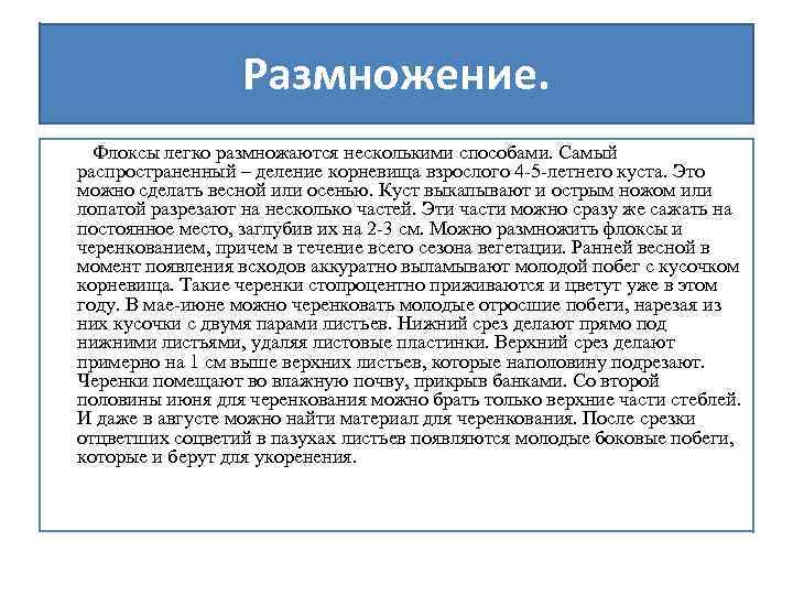 Размножение. Флоксы легко размножаются несколькими способами. Самый распространенный – деление корневища взрослого 4 -5