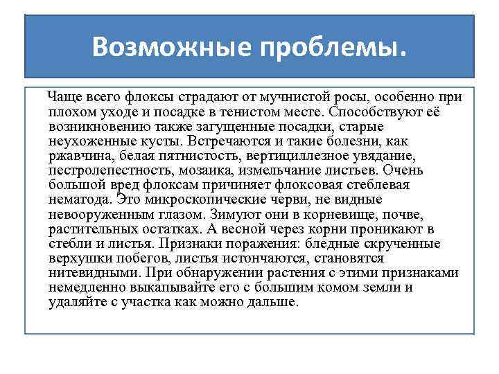 Возможные проблемы. Чаще всего флоксы страдают от мучнистой росы, особенно при плохом уходе и