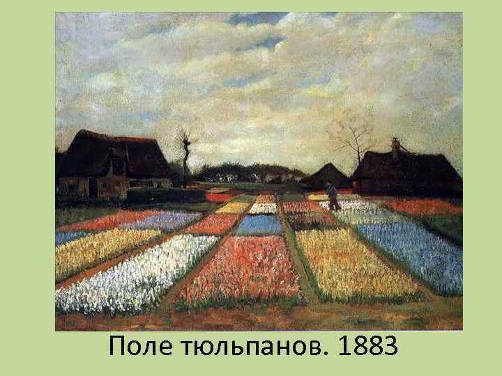 Поле тюльпанов. 1883 