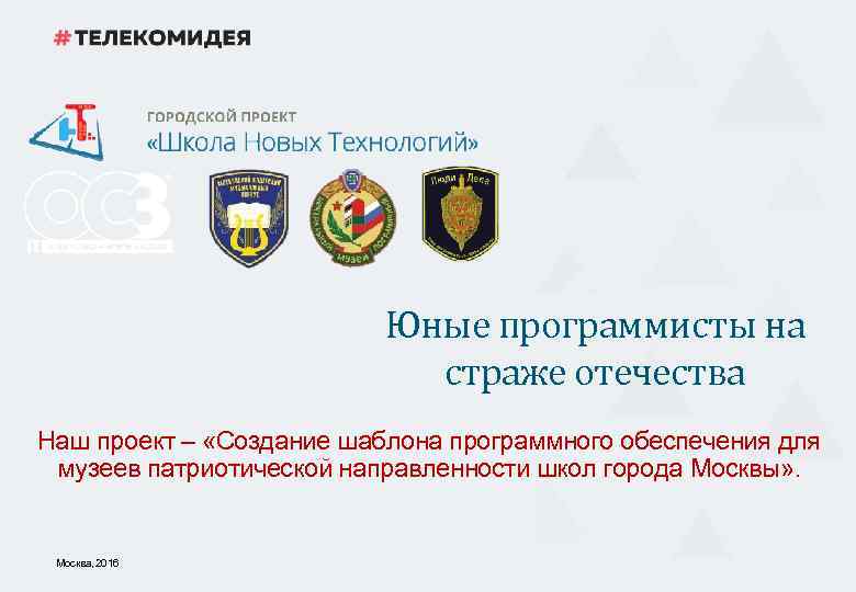 Юные программисты на страже отечества Наш проект – «Создание шаблона программного обеспечения для музеев